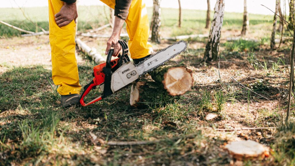 crop lumberman sawing log with electric power saw